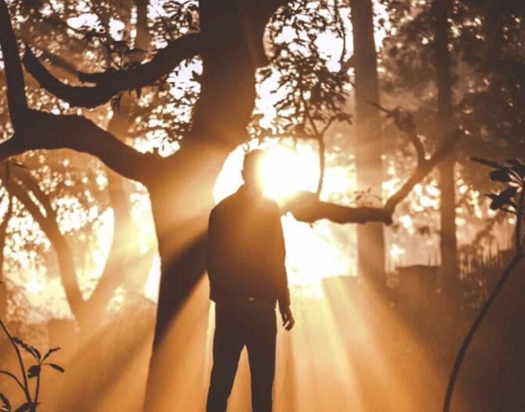 man standing near tree with light shinning through at him.