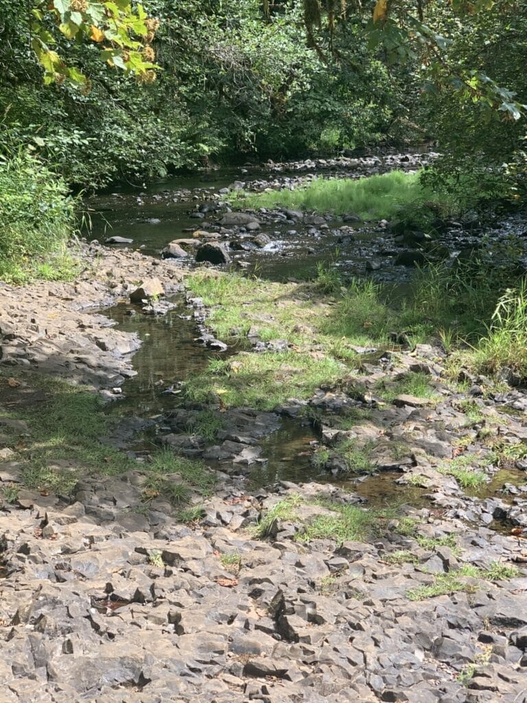 Lava Rocks on the bank of the creek.