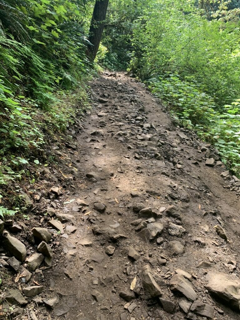 Lava Rocks on dirt trail with greenery on the sides.