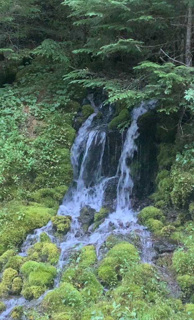 Waterfall that splits into 6 arms in very lush greens.