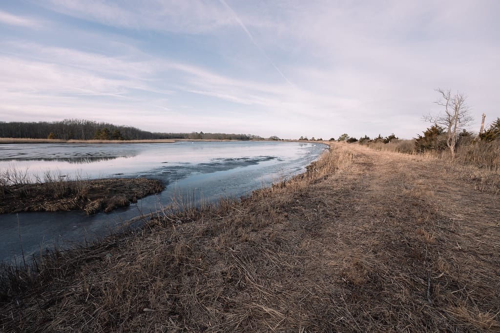 Brackish water in Florida is a mix of salt and fresh water, where brain-eating amoeba may still exist.