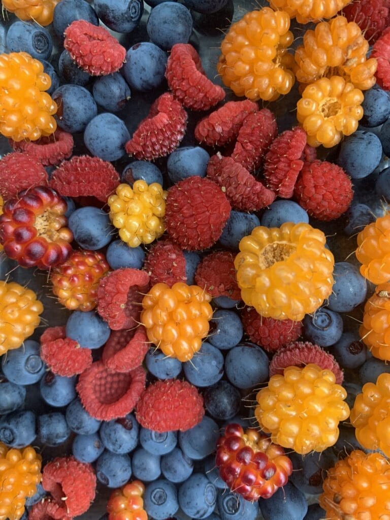 Wild berries picked in Oregon are so good for mood boosting.