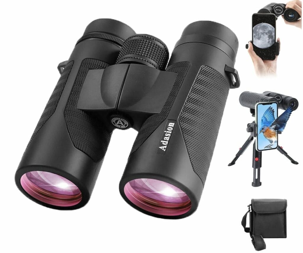 Binoculars with phone adaptor so you can capture the beauty on your phone! What an invention!