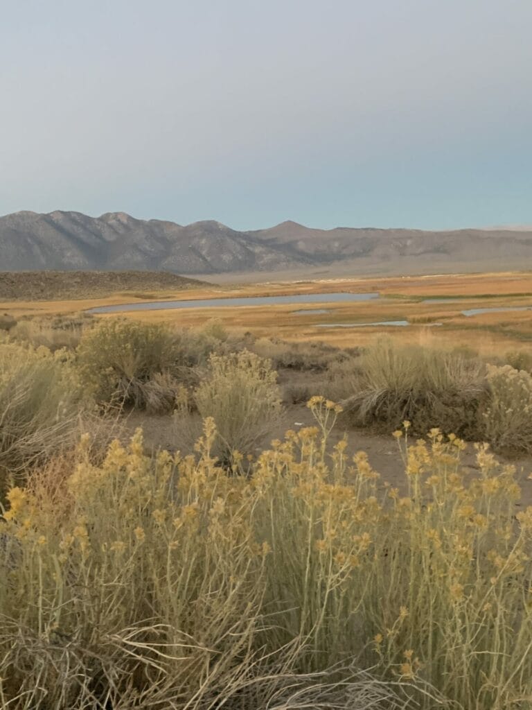 Grass field with bodies of water in the valley, with mountains in the background is the natural beauty around Crab Cooker Hot Springs near Mammoth Lake.