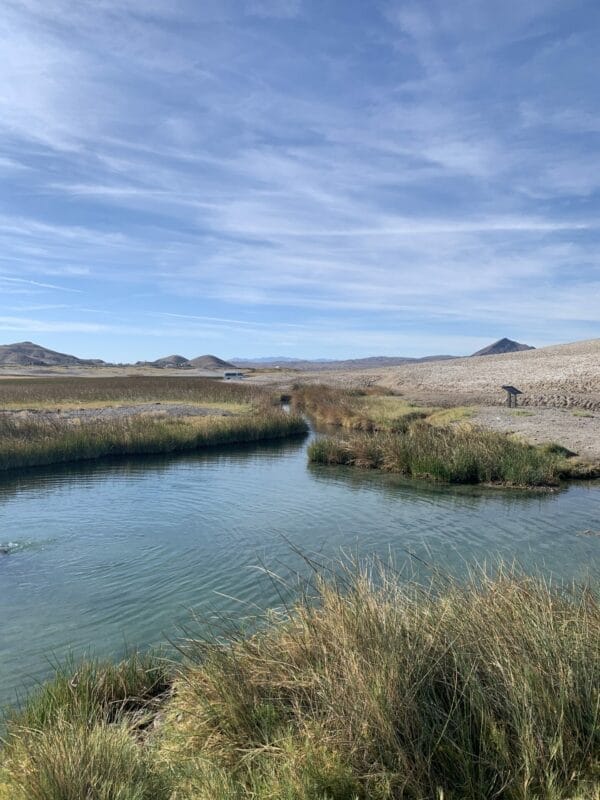 Picture of Tecopa Hot Springs, a natural free hot springs with grassy banks and desert environment.