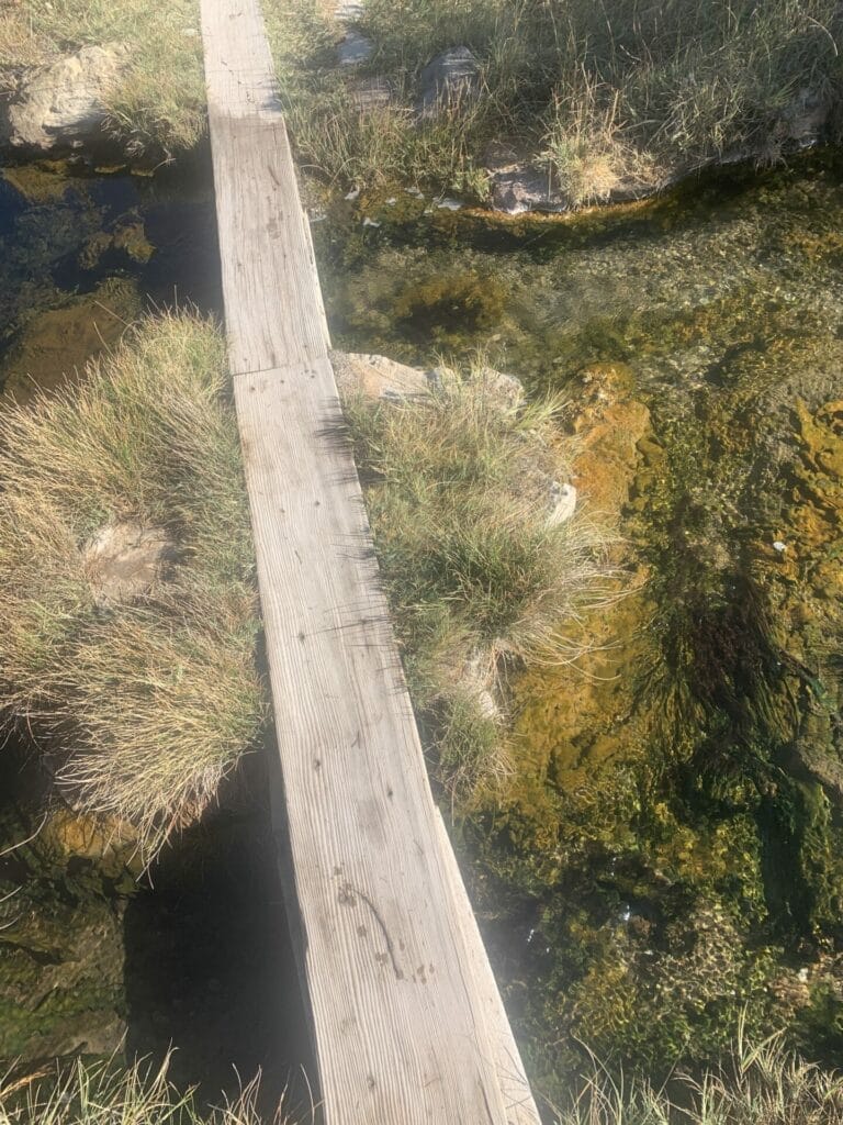 Wooden board laid over a little green patch in the creek to create the path to Siphon Hot Springs near Mammoth Lakes.