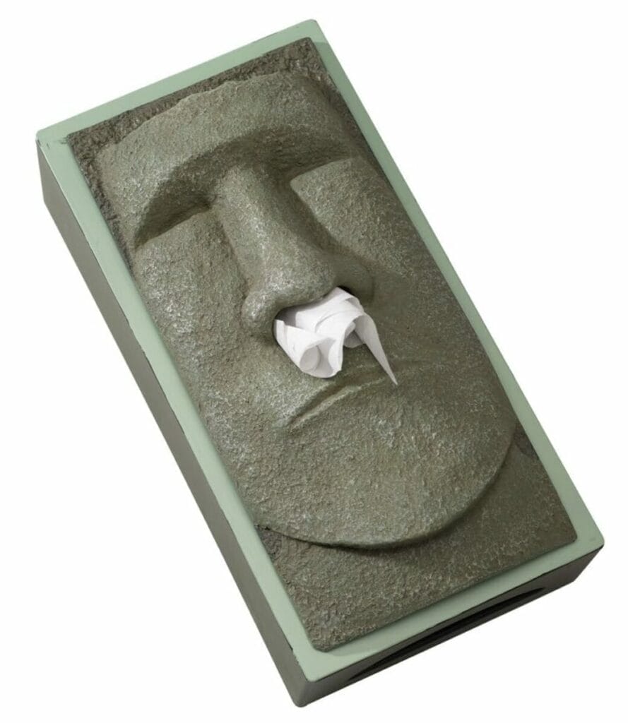 Stone Face tissue holder is so much fun! There's an elegants and fun to it!