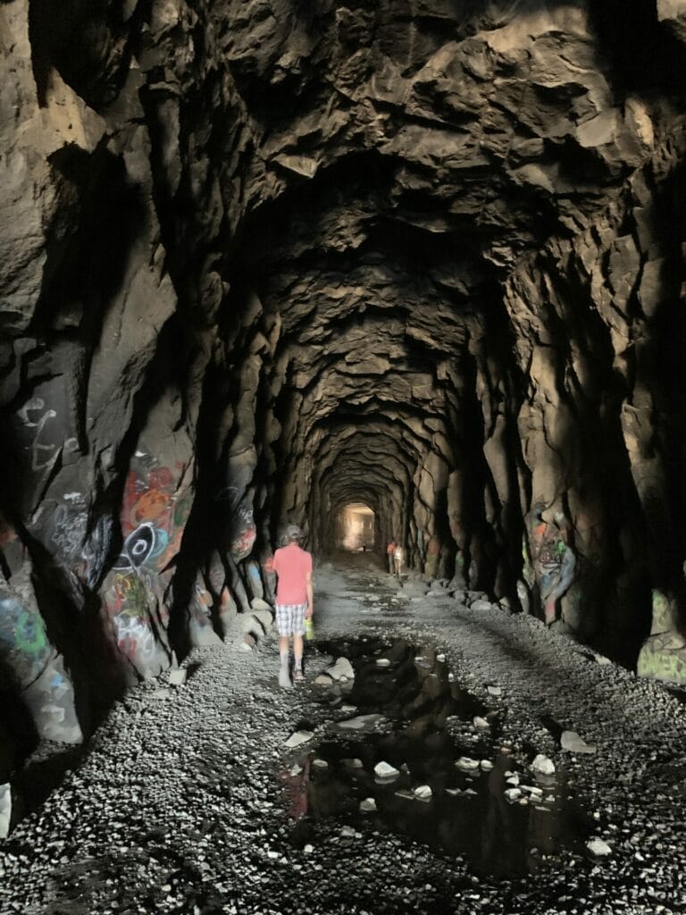 The amazing China Wall built mostly be Chinese immigrants, was used for transcontinental trailroad.