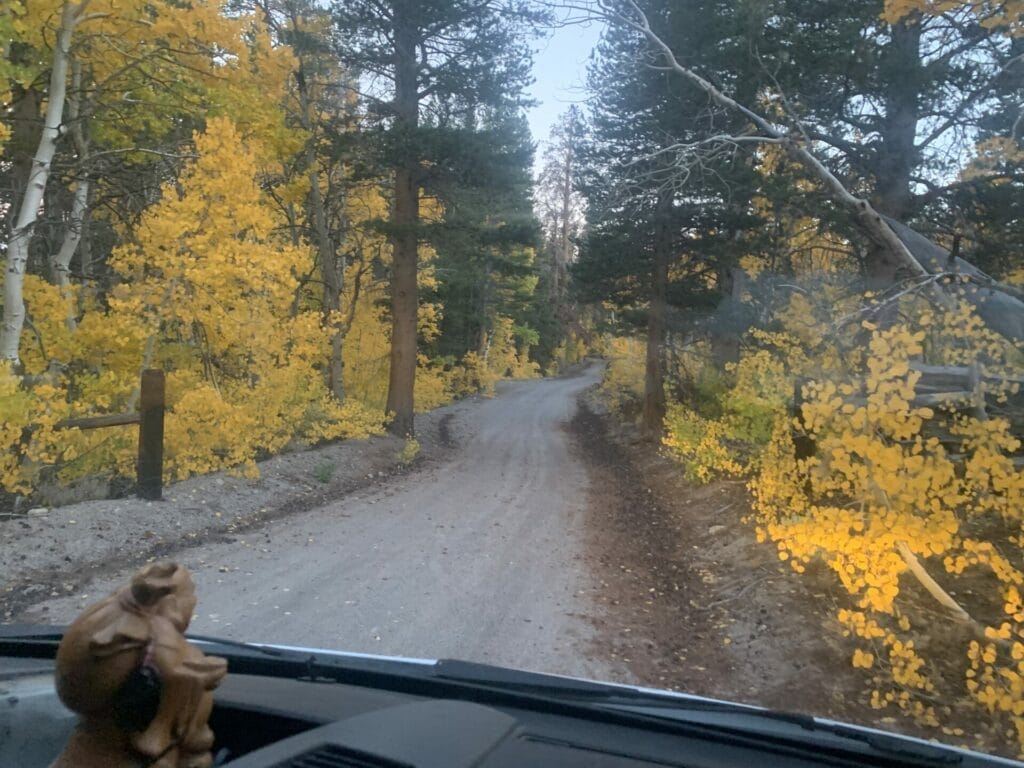 Fall is one of the best time to rockhound for obsidian near Mammoth Lakes.