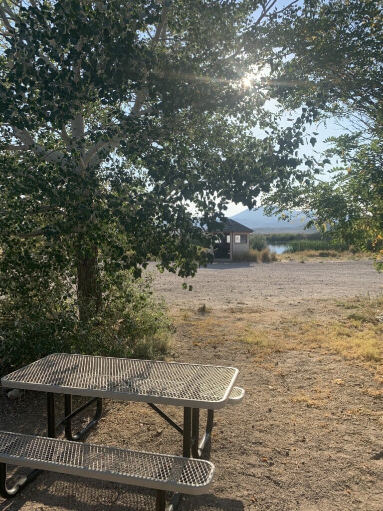 Little library on the other side of the hot springs pool at the campsite.