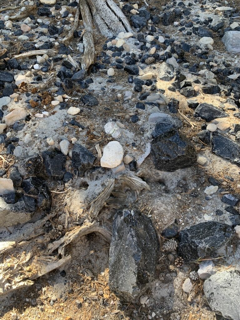 Obsidians' everywhere on Glass Mountain near Mammoth Lakes!