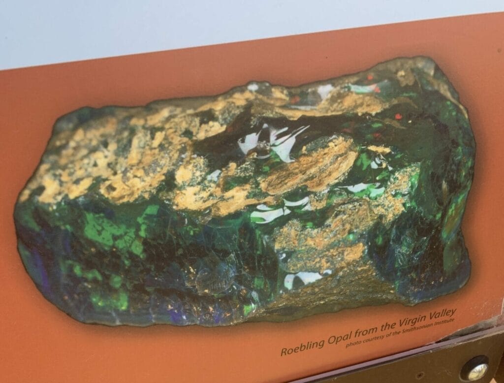 Wow! Picture of Roebling Opal from the Virgin Valley. I hope I find one in real life.