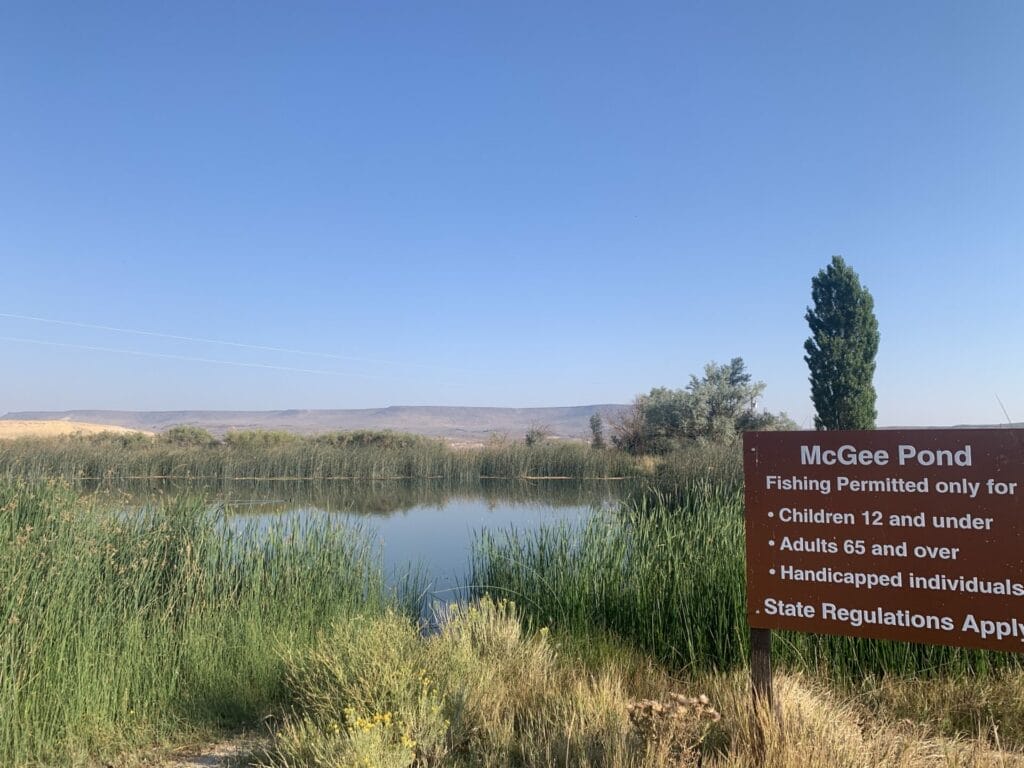 McGee Pond is just next to the little library and across the dirt road from the hot spring pool. 