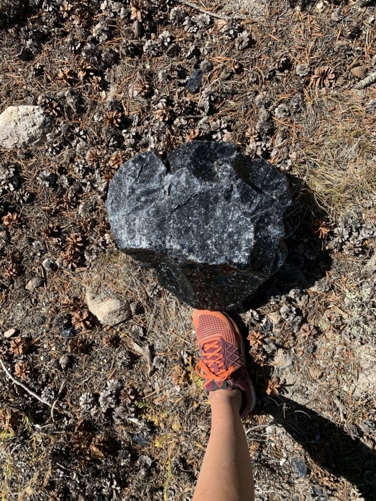 Boulder of snowflake obsidian at Glass Mountain Ridge near Mammoth Lakes hot springs.