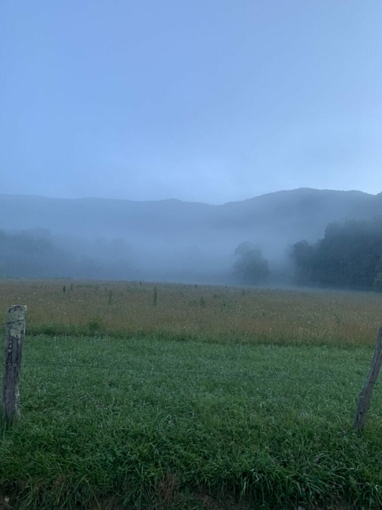 The foggy morning at Cades Cove near Knoxville, TN is a sight you need to see. 